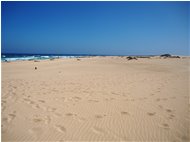  Dunes of Corralejo - Other - 2016 - Landscapes - Other - Voto: Non  - Last Visit: 13/4/2024 19.43.21 