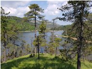  Laghi del Gorzente: Lago Lungo - Other - 2017 - Landscapes - Summer - Voto: Non  - Last Visit: 13/4/2024 19.13.5 