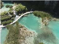  National Park of Plivitce (Croatia) - Other - 2004 - Landscapes - Other - Voto: Non  - Last Visit: 25/5/2024 8.59.33 