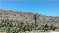  Oasis going to Ajuy - Other - 2016 - Landscapes - Other - Voto: Non  - Last Visit: 17/5/2024 14.2.30 