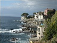 Cliff in Mulinetti (Recco) - Other - <2001 - Villages - Other - Voto: Non  - Last Visit: 25/3/2024 15.47.34 