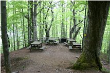  The path around Brugneto lake - Other - 2006 - Woods - Summer - Voto: Non  - Last Visit: 23/9/2023 17.17.39 
