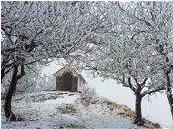  Brinata sul Monte Pianetto - Savignone - 2013 - Altro - Inverno - Voto: Non  - Last Visit: 2/10/2023 12.46.48 