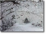 Fotografie Savignone - Altro - Brinata sul Monte Pianetto