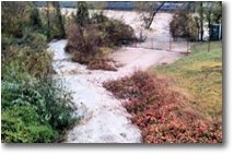 Foto Savignone - Altro - Contributo del ruscello Ramà alla piena del fiume Scrivia