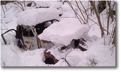 Fotografie Savignone - Altro - Divieto di sosta...