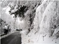  6 Febbraio: prima neve a Savignone - Savignone - 2018 - Altro - Inverno - Voto: Non  - Last Visit: 25/5/2024 8.47.19 