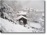 Foto Savignone - Altro - 6 Febbraio: prima neve a Savignone