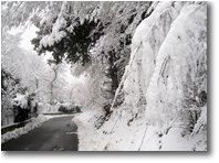 Fotografie Savignone - Altro - 6 Febbraio: prima neve a Savignone