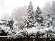  6 Febbraio: prima neve a Savignone - Savignone - 2018 - Altro - Inverno - Voto: Non  - Last Visit: 28/8/2022 20.37.34 