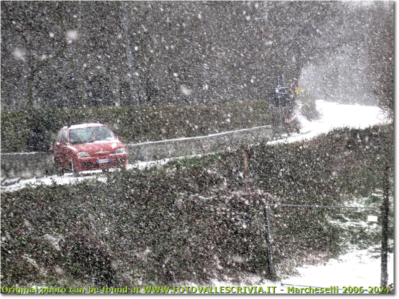 Fiocca la neve, lenta, lenta, lenta... - Savignone - 2010 - Altro - Inverno - Canon Ixus 980 IS