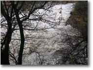 Foto Savignone - Altro - Fiume Scrivia dopo abbondanti pioggie