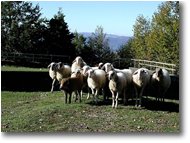 Foto Savignone - Altro - Foto di gruppo sul M. Maggio