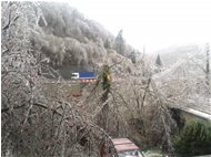  Gelicidio dell’11 dicembre - Savignone - 2018 - Altro - Inverno - Voto: Non  - Last Visit: 25/9/2023 11.43.35 
