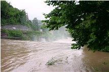  Giugno 2008: dopo le abbondanti precipitazioni - Savignone - 2008 - Altro - Estate - Voto: Non  - Last Visit: 20/9/2023 9.44.13 