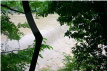  Giugno 2008: fiume Scrivia dopo le abbondanti precipitazioni - Savignone - 2008 - Altro - Estate - Voto: Non  - Last Visit: 20/9/2023 8.31.7 