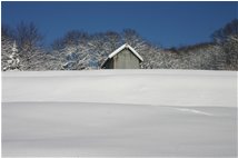  Il bianco mantello: neve - Savignone - 2009 - Altro - Inverno - Voto: Non  - Last Visit: 14/6/2023 13.6.30 