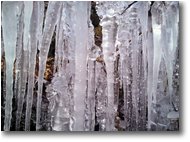 Foto Savignone - Altro - Il lungo inverno freddo: ultimo ghiaccio?