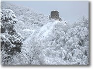 Fotografie Savignone - Altro - La torre del Castello