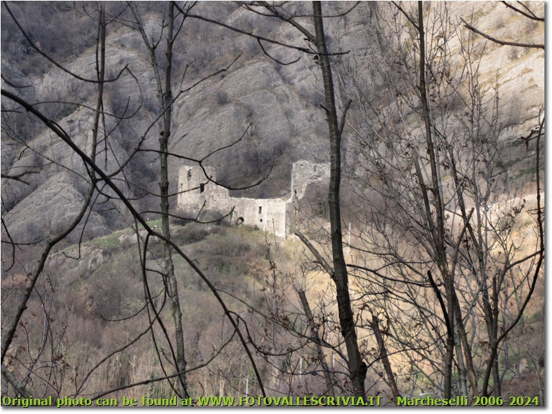 Mimetismo: Conglomerato e rovine del castello - Savignone - 2011 - Altro - Inverno - Canon Ixus 980 IS