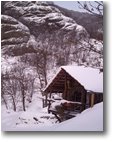 Foto Savignone - Altro - Nella valle del rio Maggione