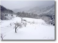 Fotografie Savignone - Altro - Neve a Ponte di Savignone