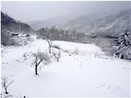  Neve a Ponte di Savignone - Savignone - 2022 - Altro - Inverno - Voto: Non  - Last Visit: 24/6/2022 22.19.40 