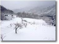 Foto Savignone - Altro - Neve a Ponte di Savignone