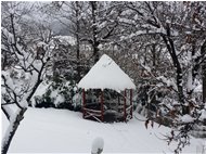  Neve a Savignone - Savignone - 2015 - Altro - Inverno - Voto: Non  - Last Visit: 26/6/2022 18.55.47 