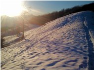  Neve sul Monte Cappellino - Savignone - 2013 - Altro - Inverno - Voto: Non  - Last Visit: 26/6/2022 18.18.34 