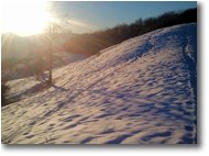 Fotografie Savignone - Altro - Neve sul Monte Cappellino