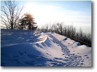 Foto Savignone - Altro - Onde sul Monte Maggio