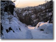 Foto Savignone - Altro - Piambertone: sentiero al tramonto