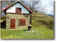 Fotografie Savignone - Altro - Ritorna la primavera alla casa sul poggio