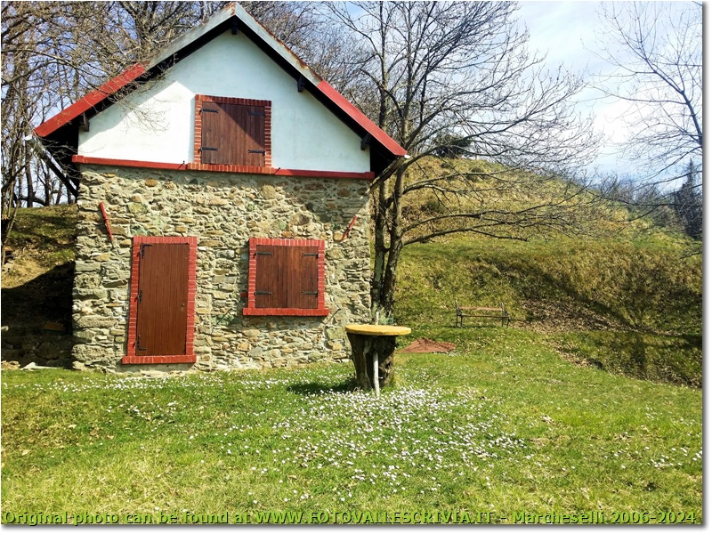 Ritorna la primavera alla casa sul poggio - Savignone - 2013 - Altro - Inverno - Altro/Other