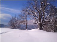  Salendo al Monte Pianetto - Savignone - 2013 - Altro - Inverno - Voto: Non  - Last Visit: 29/1/2024 7.26.15 
