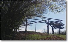 Fotografie Savignone - Altro - Salendo alla Cappelletta del Pianetto