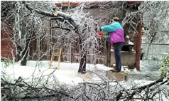  Si riparano i danni - Savignone - 2013 - Altro - Inverno - Voto: Non  - Last Visit: 20/4/2023 21.59.3 
