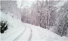  Stradina in bianco - Savignone - 2012 - Altro - Inverno - Voto: Non  - Last Visit: 21/1/2023 17.8.34 