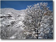 Fotografie Savignone - Altro - Sulle pendici del Castello Fieschi