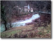 Foto Savignone - Altro - Torrente Brevenna