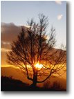 Foto Savignone - Altro - Tramonto invernale