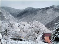  Un po' di colore nel paesaggio - Savignone - 2013 - Altro - Inverno - Voto: Non  - Last Visit: 30/1/2024 11.46.19 