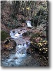 Foto Savignone - Altro - Verso le sorgenti del rio Piambertone