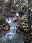  Verso le sorgenti del rio Piambertone - Savignone - 2011 - Altro - Inverno - Voto: Non  - Last Visit: 14/10/2022 17.30.31 