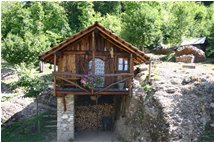  Vieni… c’è una casa nel bosco…  - Savignone - 2006 - Altro - Estate - Voto: 10   - Last Visit: 22/9/2023 17.45.13 