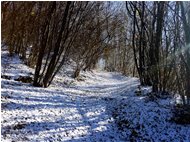  22 novembre 2015: si calpesta la prima neve - Savignone - 2016 - Boschi - Inverno - Voto: 10   - Last Visit: 30/9/2023 15.28.52 