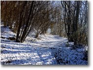 Fotografie Savignone - Boschi - 22 novembre 2015: si calpesta la prima neve