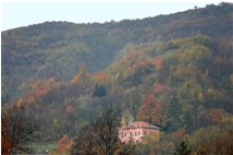  Autunno 2006: ancora qualche macchia di colore - Savignone - 2007 - Boschi - Inverno - Voto: Non  - Last Visit: 12/10/2024 0.48.9 