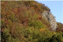  Autunno 2008: Boschi e conglomerato di Savignone - Savignone - 2009 - Boschi - Inverno - Voto: Non  - Last Visit: 26/9/2023 13.56.34 